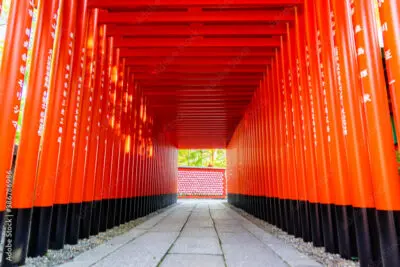 愛知　東海　金運アップ　神社　最強