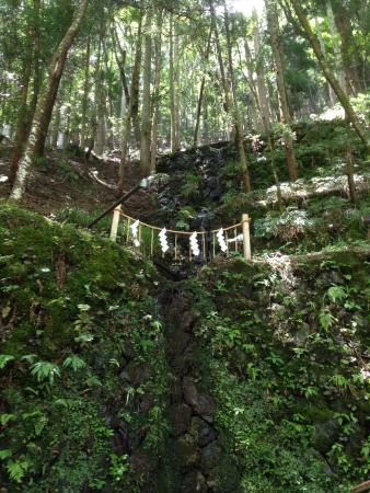 京都　金運　神社　金運アップ