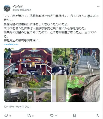 関東　癌封じ　有名　最強　神社　芸能人