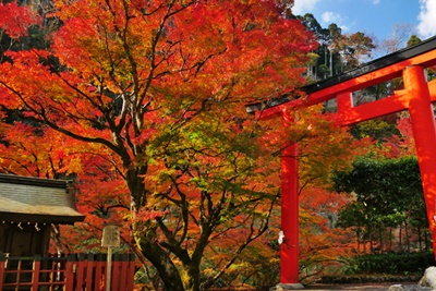 京都　金運　神社　金運アップ